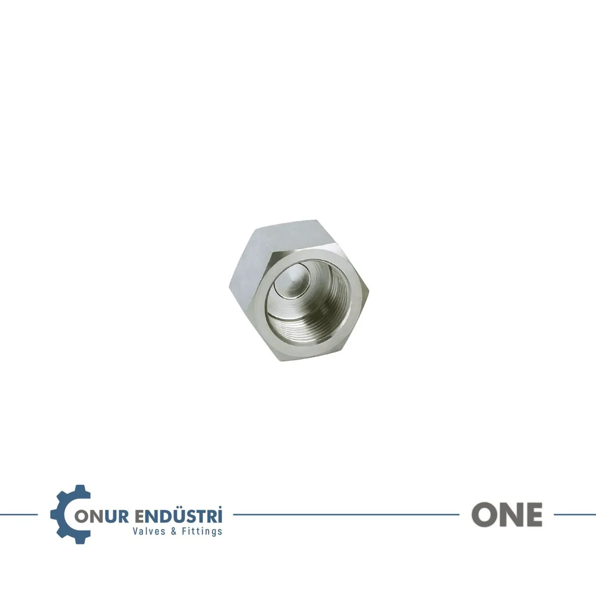 İç Dişli Kör Tapa (Paslanmaz)