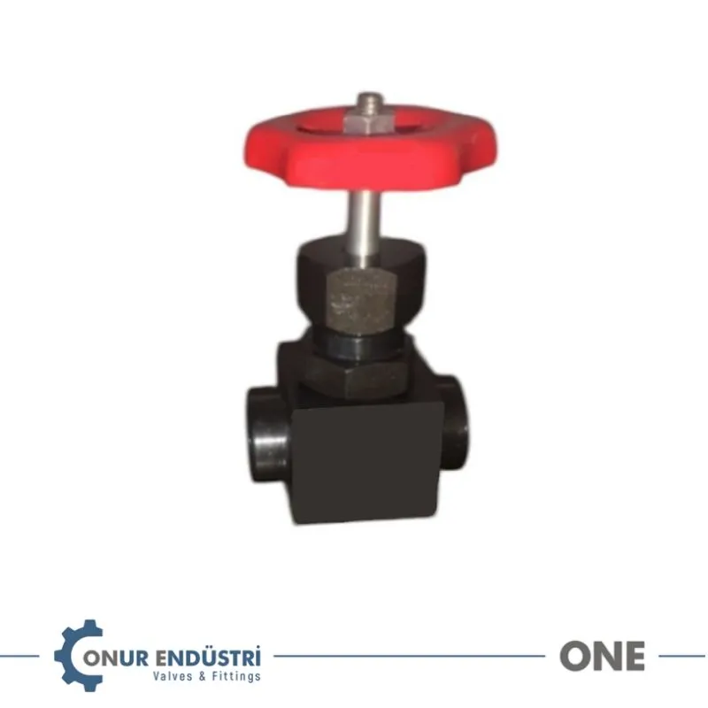 İğne Vana (K. Çelik)