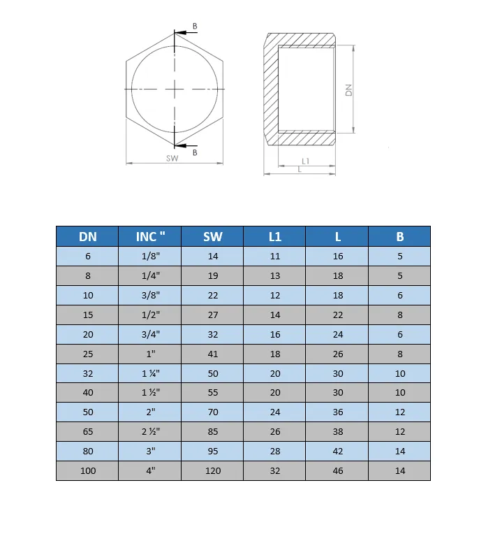 İç Dişli Kör Tapa (Galvanizli)