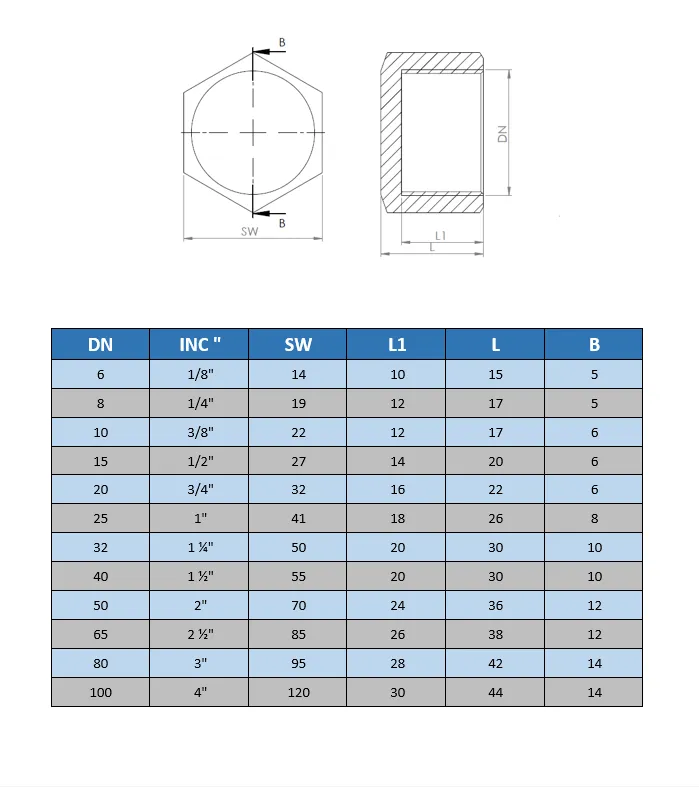 İç Dişli Kör Tapa (Prinç)